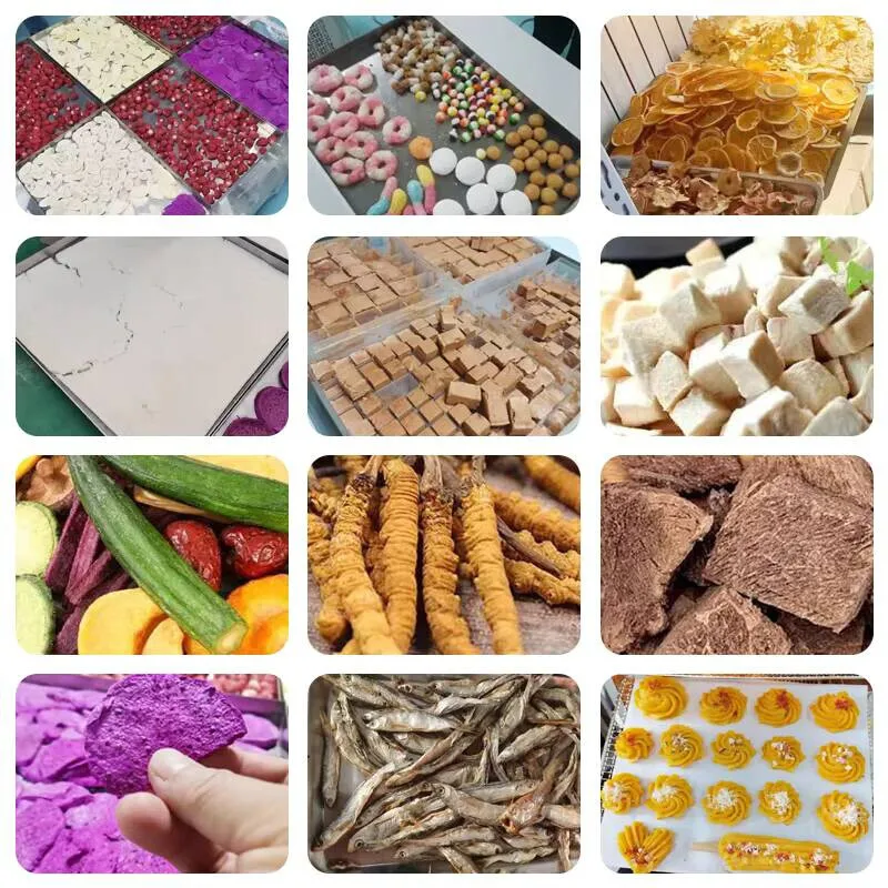 مجفف تجميد تجاري أوتوماتيكي لتجهيز الأغذية وتجفيف الحليب/الحلوى/اللحوم/الفواكه