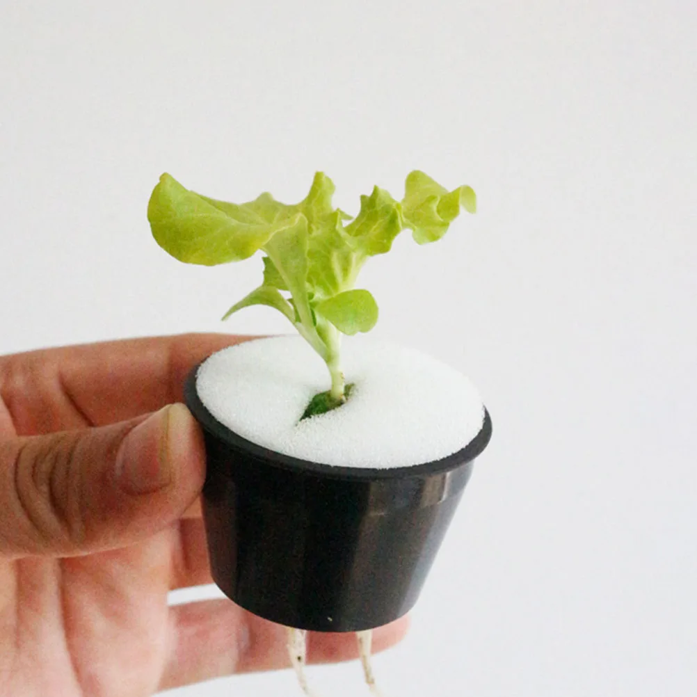 

55 Pcs Hydroponic Sponges Soilless Planting Tools Durable Round Gardening Accessories Vegetable Sprouting Sponges Cultivation