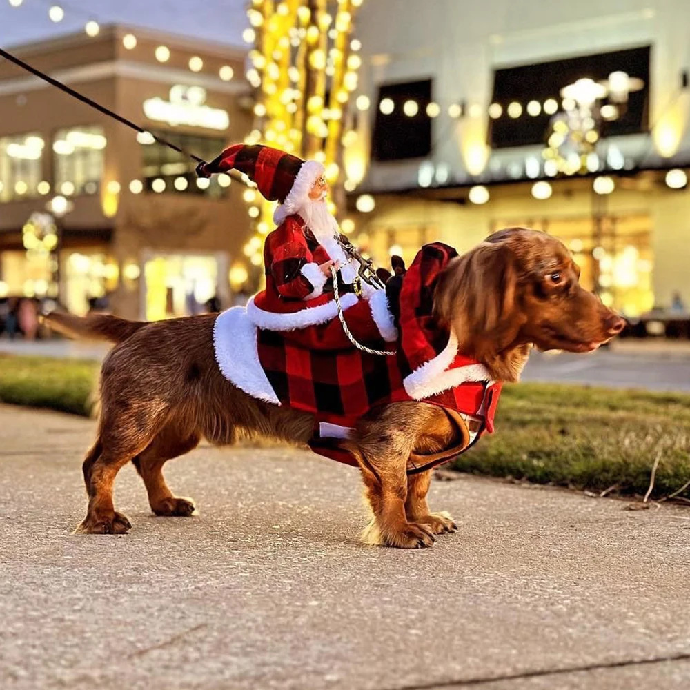 冬の新年ペットコスチューム クリスマス猫犬服 フレンチブルド - Pet Supplies York のレビューと価格
