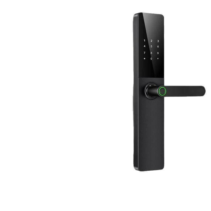 Door lock, fingerprint lock, home security door, password lock, face recognition