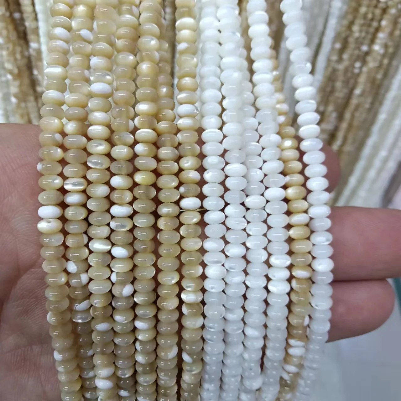 Trochidae shell white/brown roundelle 5/6/7mm for DIY jewelry making  loose beads  FPPJ wholesale beads nature gemstone