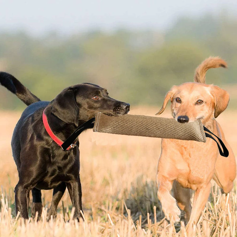 Dog Chewing Toy Training Bite Pillow With 2 Rope Hemp Dog Bite Stick Tug Cloth Handles Accessories