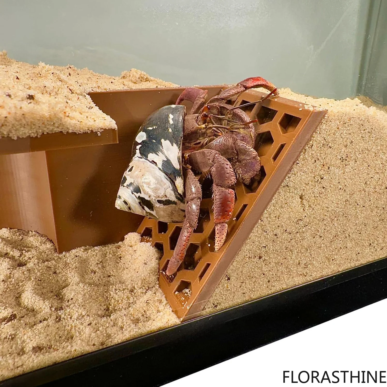 Hermit Crab Habitat Tunnel Cave Hidden Corner Environment Decoration Made of Friendly Eco Resin for Reptile Tank Setup