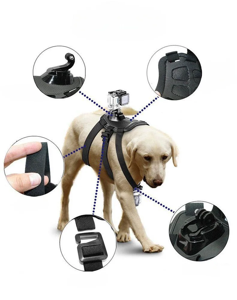 TTL-cx16 Suitable for GOPRO DJI Insta360 Panoramic Camera action camera dog belt dog harness dog chest strap chest