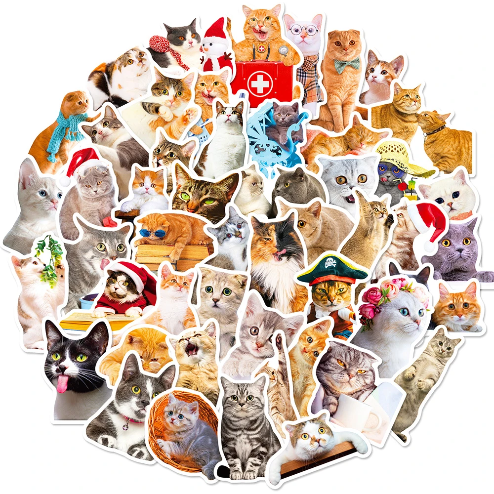 10/30/50pcs Cute Funny Cats MEME Stickers Cartoon Animal Graffiti Decals Toys DIY Water Bottle Phone Case Laptop Kawaii Sticker