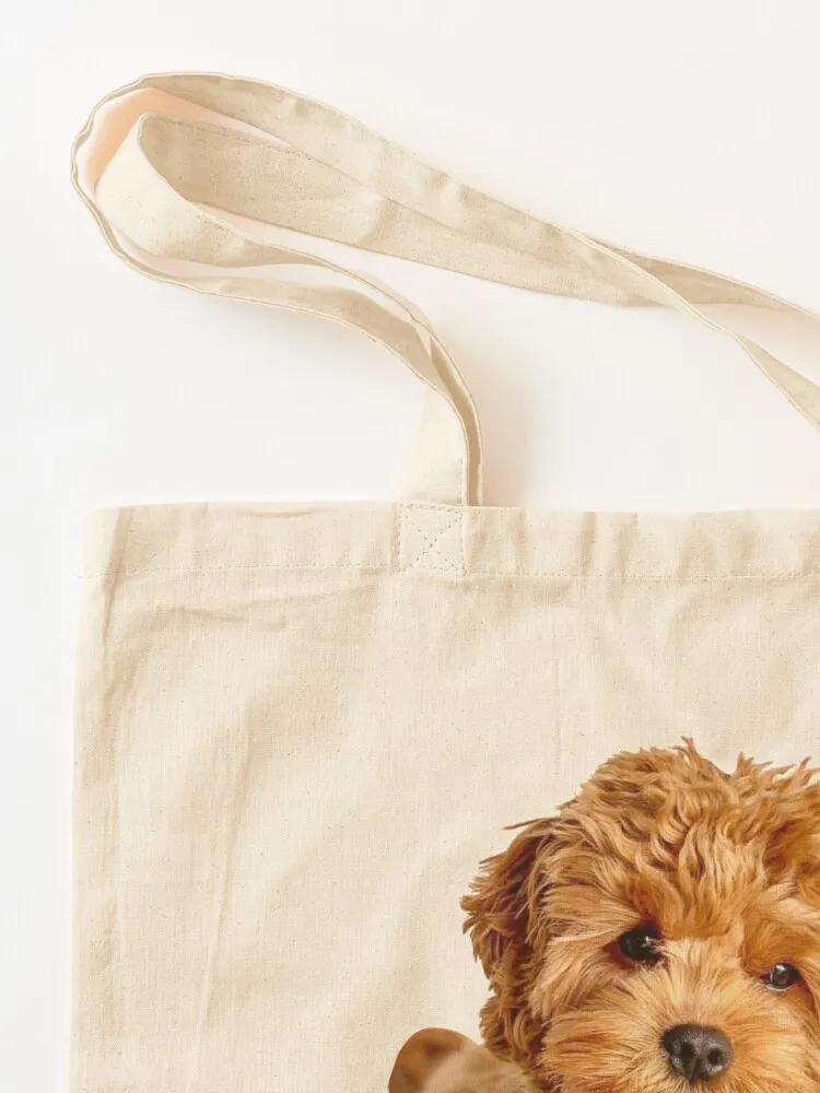 Cavapoo Tote Bag woman shopping bag cute tote bag cute pouch Canvas Tote