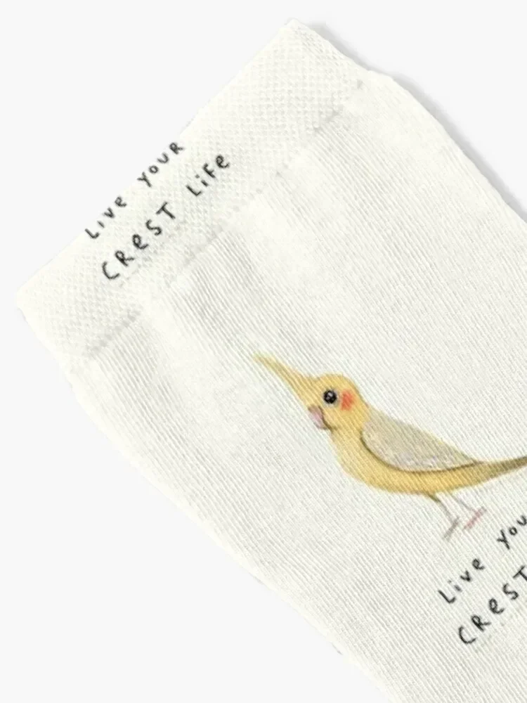 Live Your Crest Life Socks FASHION custom sports winter thermal aesthetic Socks Men Women's