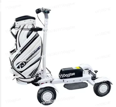 High Quality 2400W 48V Long Range Electric Golf Cart Family Electric Tricycle 4 Wheel Electric Scooter