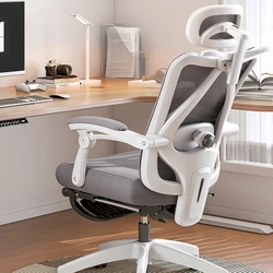 Ergonomic office chair with reclining backrest, lumbar support and adjustable armrest,great for back and neck pain relief