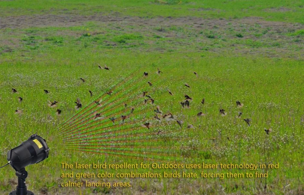 Wholesales Animal Control Birds Deterrent Laser Light Device Waterproof IP65 RF Remote Control
