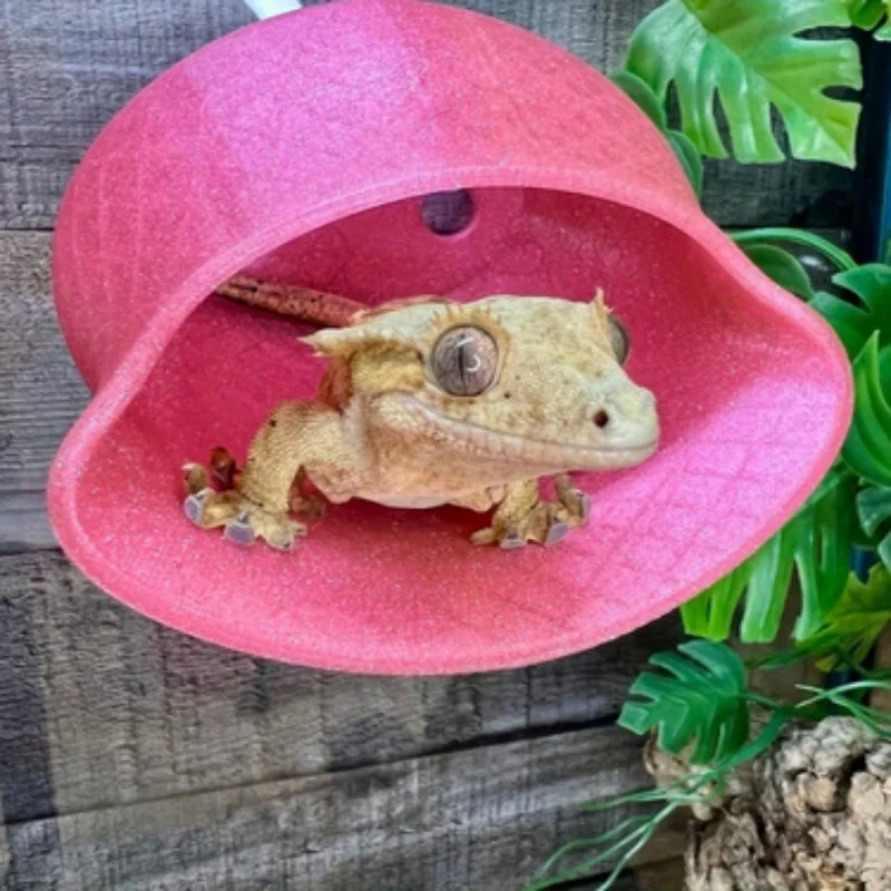 

Frogs, geckos, lizards and other reptiles hiding places, leisure and entertainment facilities, breeding boxes, decorations