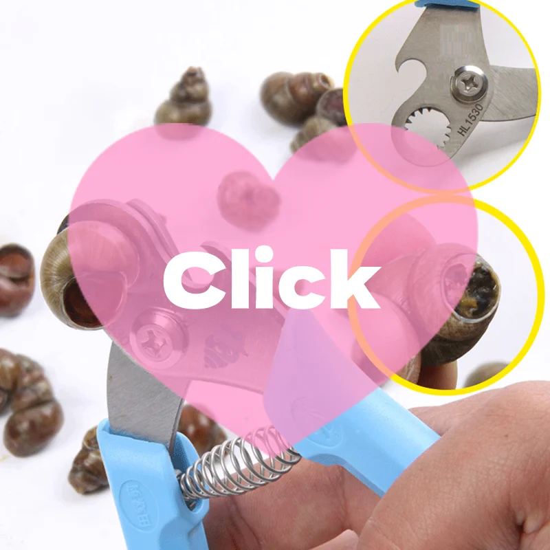 

Cutting Field Snail Butt Artifact, Not Slip Field, Lion Tail Cutting Special Scissors, Stone Snail Cutter, Tail Removal Tools