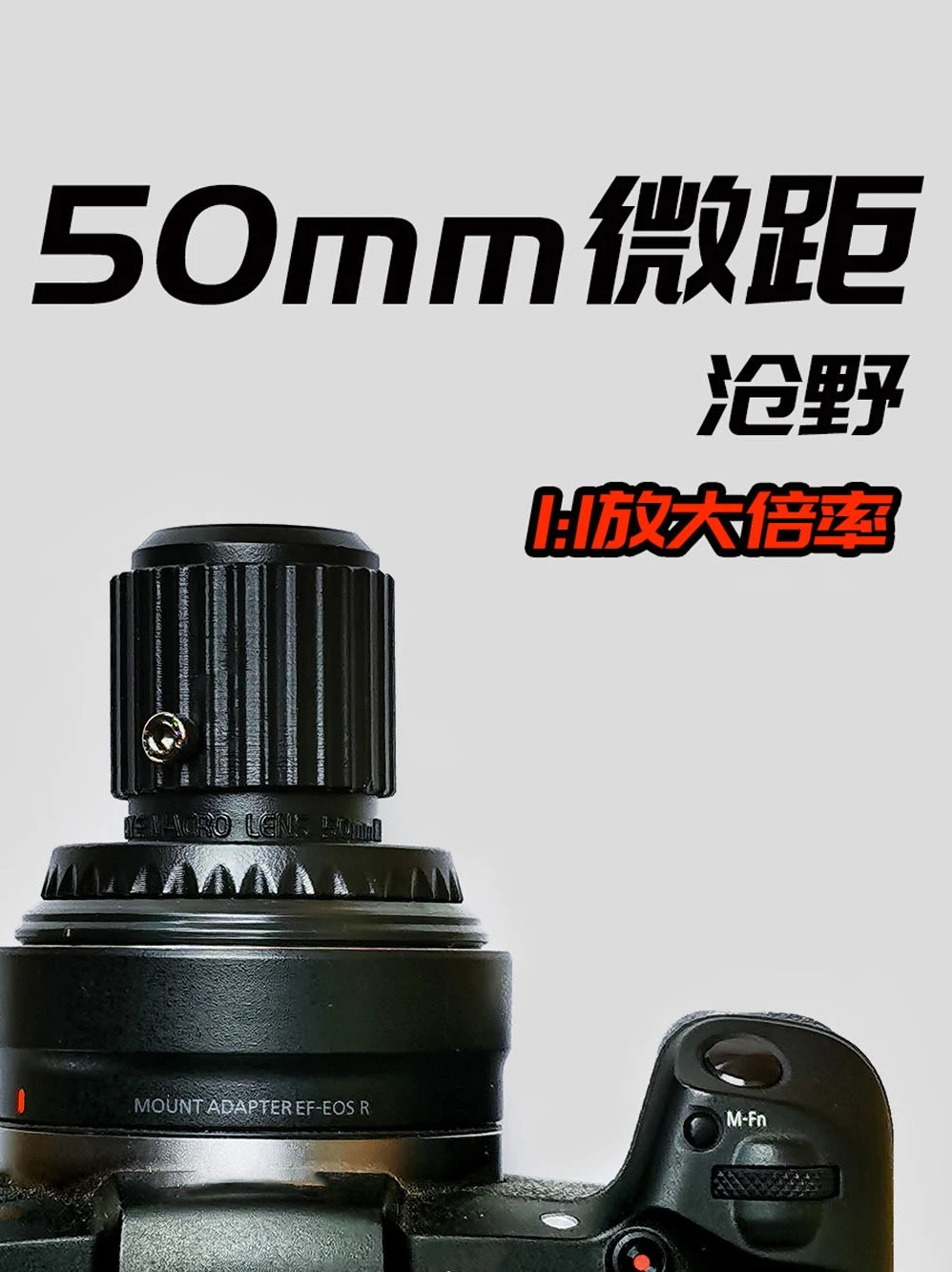 

Cang Ye/Macro Lens 50mm Micro/True 1:1 Amplification/Suitable for Canon Nikon SLR Sony Fuji Mirrorless Camera