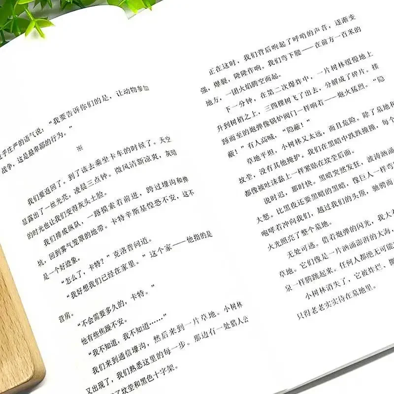 ทั้งหมดเงียบบนคําสะท้อนการแปลภาษาจีนด้านหน้าตะวันตกและการเติบโตในสงคราม หนังสือนวนิยายต่อต้านสงครามคลาสสิก