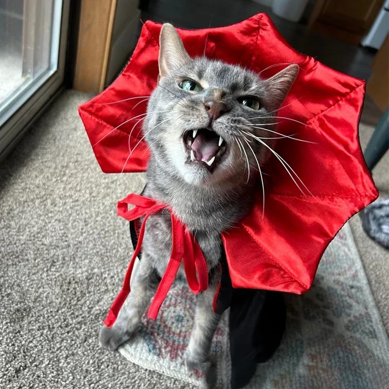 Cute Halloween Pet Costumes Cosplay Vampire Cloak For Small Dog Cat Kitten Puppy Dress Up Kawaii Pet Clothes Gift