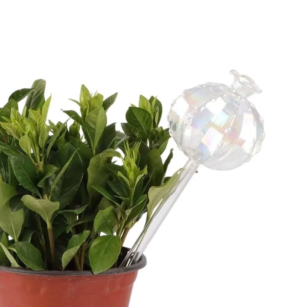 Set of 4 Plant Watering Globes for Indoor Plants Self Watering System Provides Steady Moisture to Potted Soil Glass