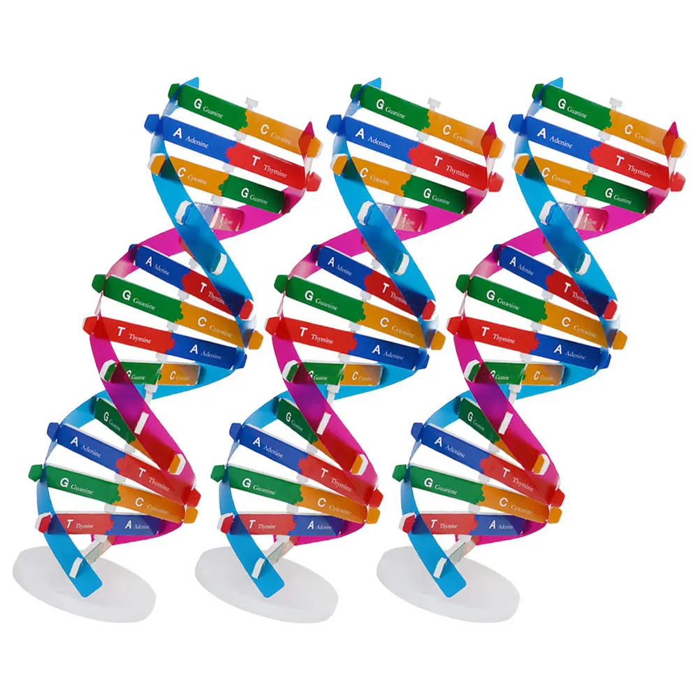Kit de Doble Hélice de ADN Genético de 3 Piezas, Herramienta Educativa DIY, Set de Aprendizaje Interactivo para Estudiantes de Biología, Ciencia y Estructura Molecular