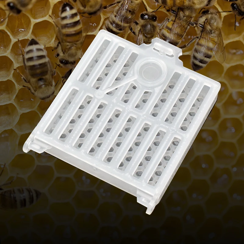 New Design Bee Farm Queen Bee Post Cage Transparent Box with Comb Fundation Sheet Queen Rearing Tool Beekeeping Supplies