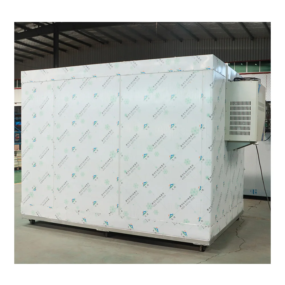 Automatic Machine Wall-mounted Monoblock Unit Cold Storage Refrigeration Equipment System