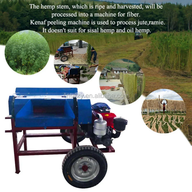 آلة تزيين ألياف الجوت السيزال لاستخراج الجلد من كيناف #5