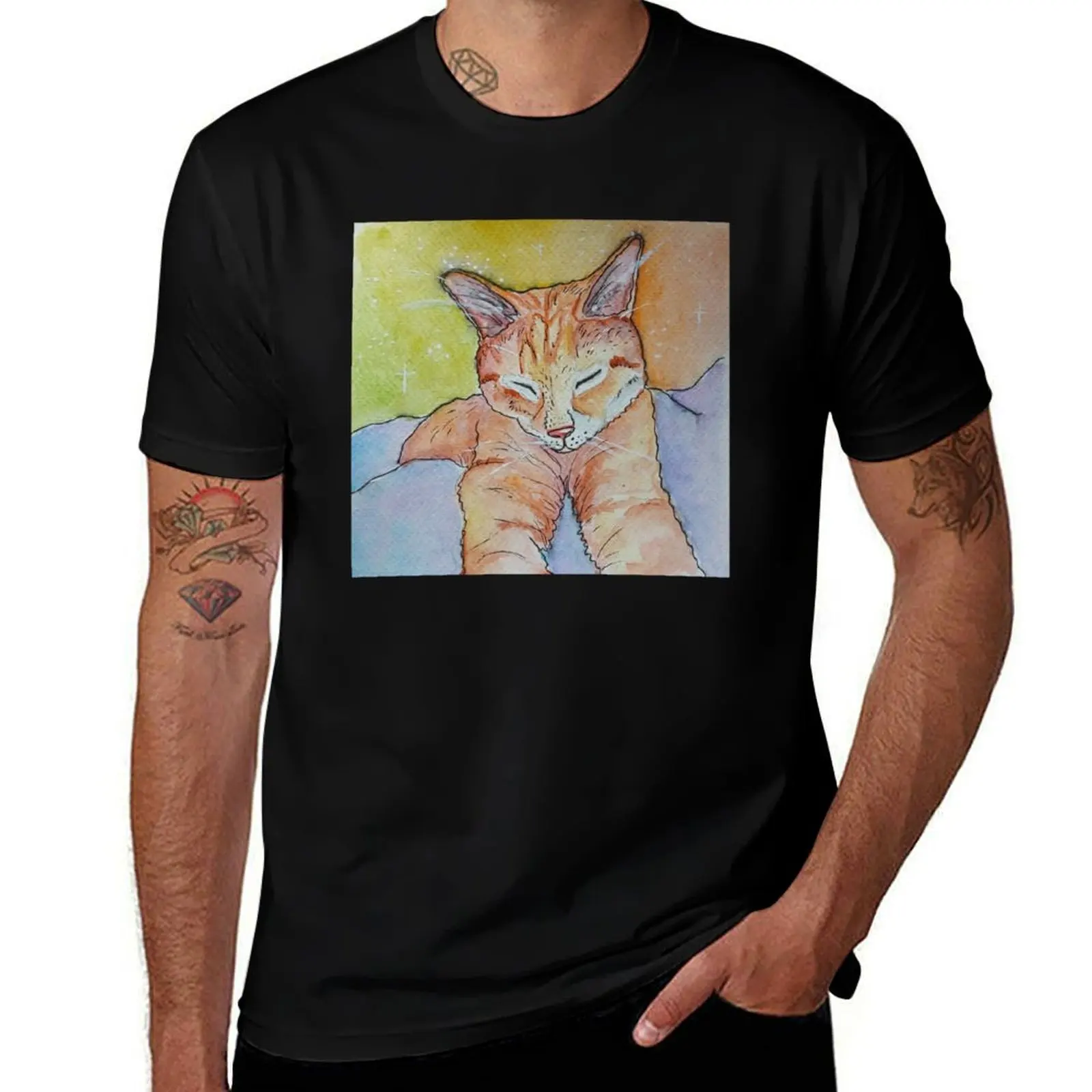 

Baby The Orange Cat T-Shirt funny costumes heavyweights quick drying Men's t-shirts
