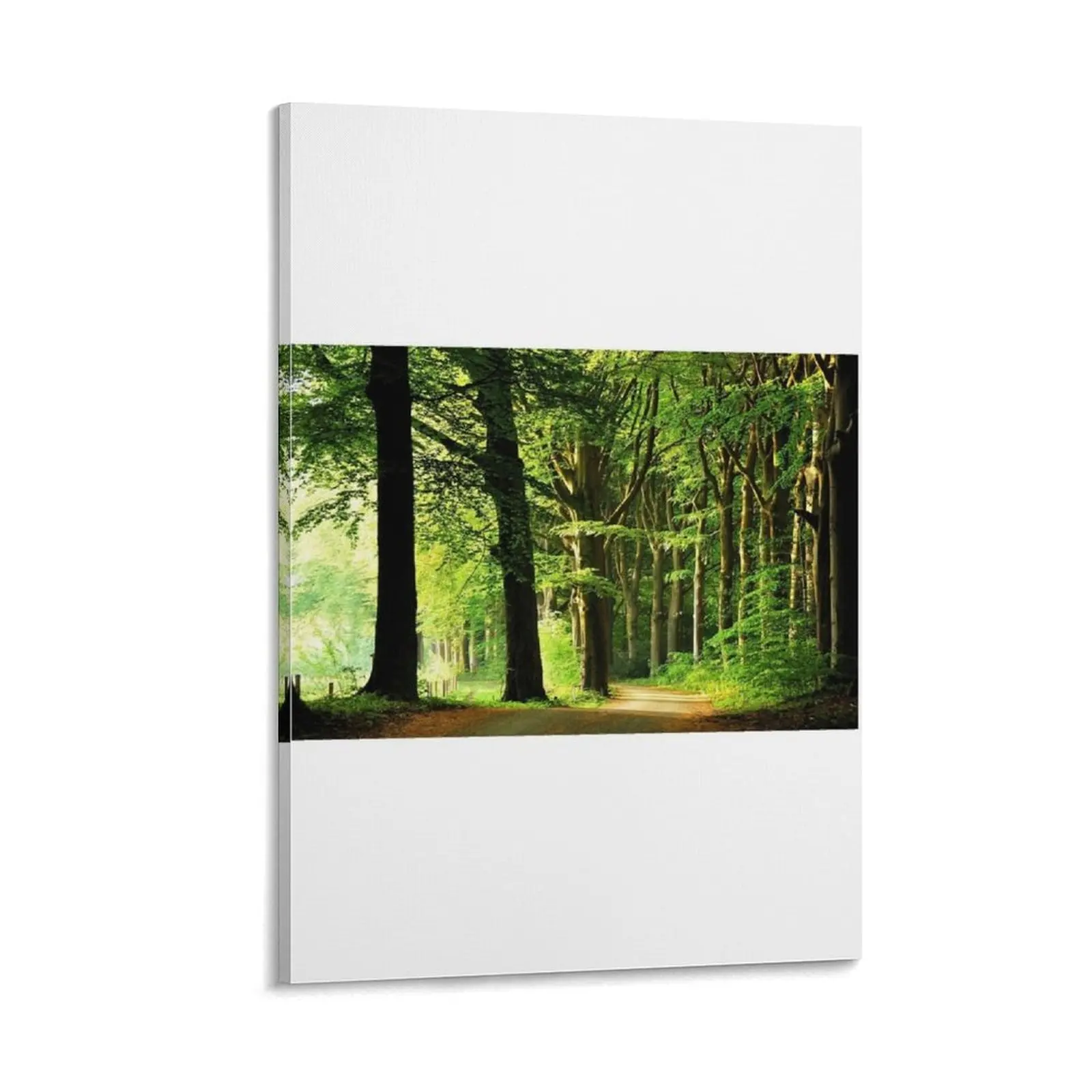 

Cycling towards my paradise again Canvas Painting Decoration home decorative pictures for the room