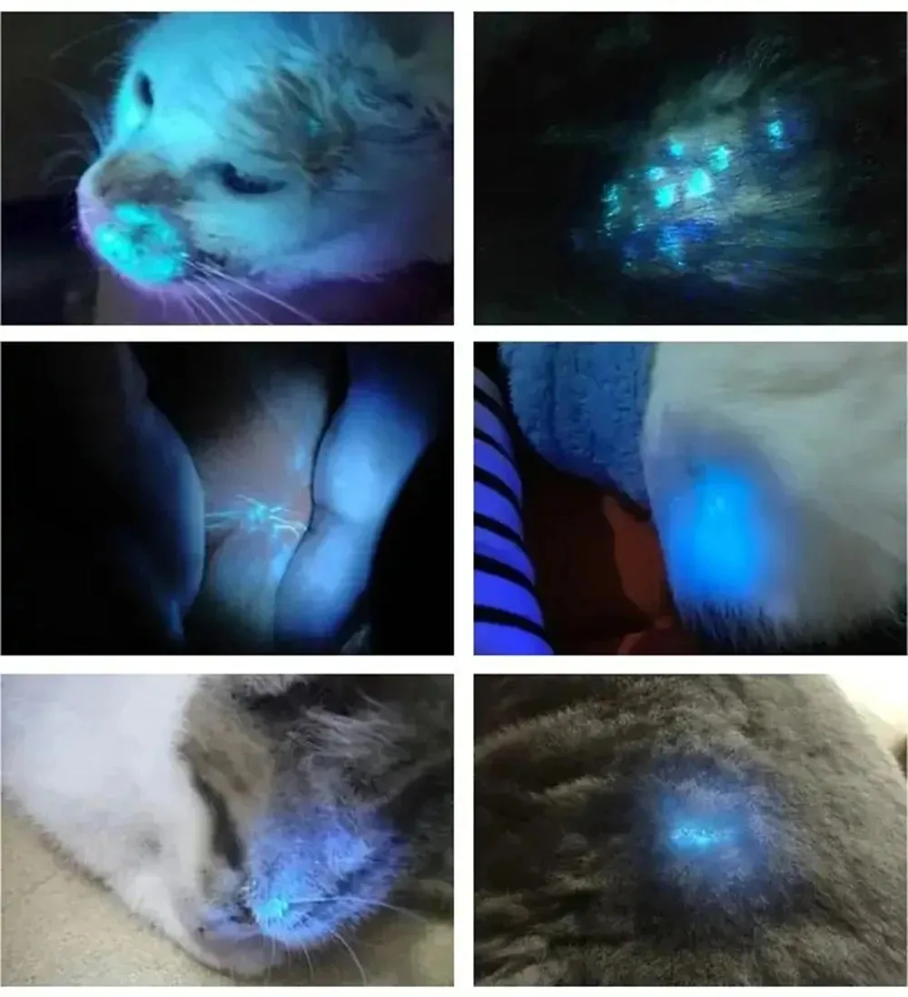 Handheld houten lamp voor huisdieren, katten- en hondenhuiddetectie, 365, nanometer, UV-bestraling, veterinaire apparatuur