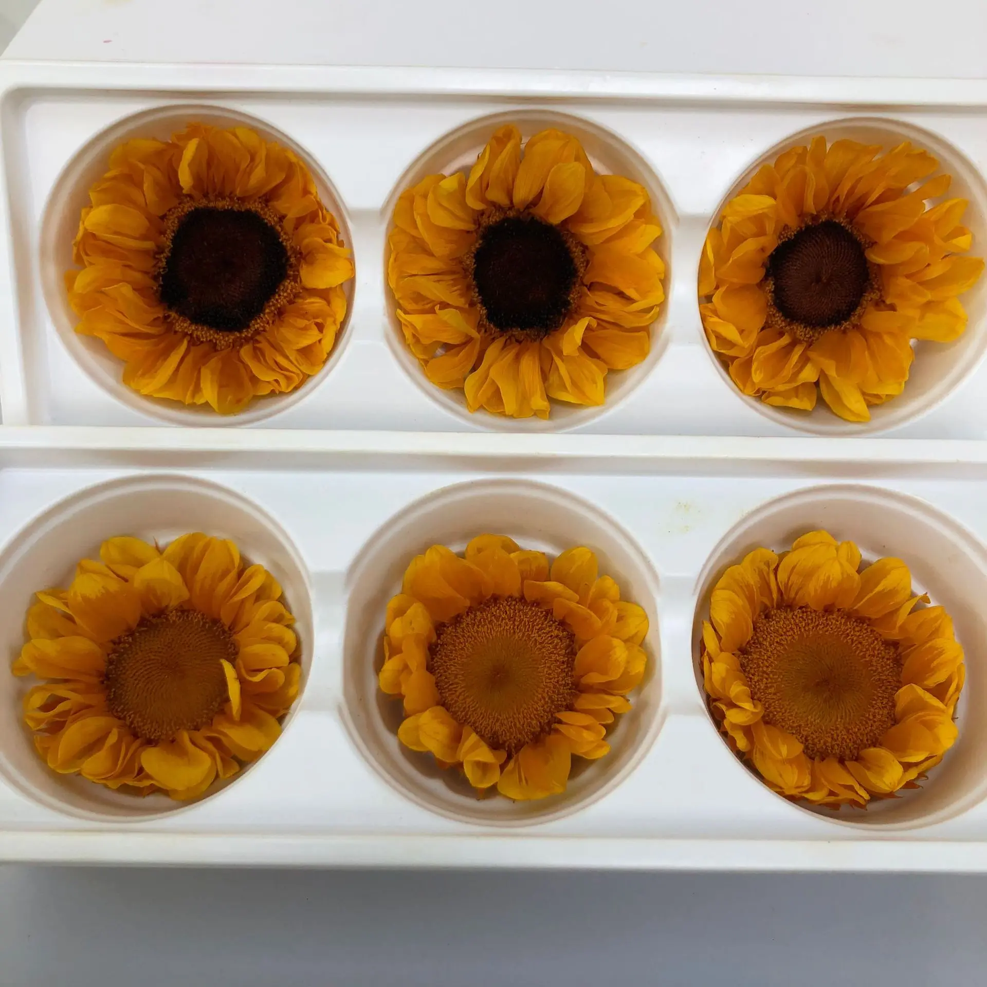 6-7cm 3pcs Fresh Sunflower Head Imperishable Real Flower Gerbera Mother's Day Gift Gift for Friend Home Decoration Real Flower