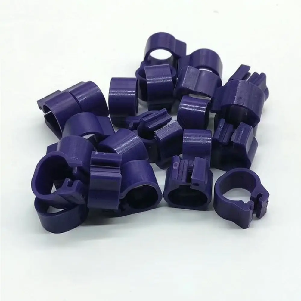 Durable Plastic Pigeon Leg Rings Identification Bands For Racing Pigeons Poultry Management Labels Track Tool
