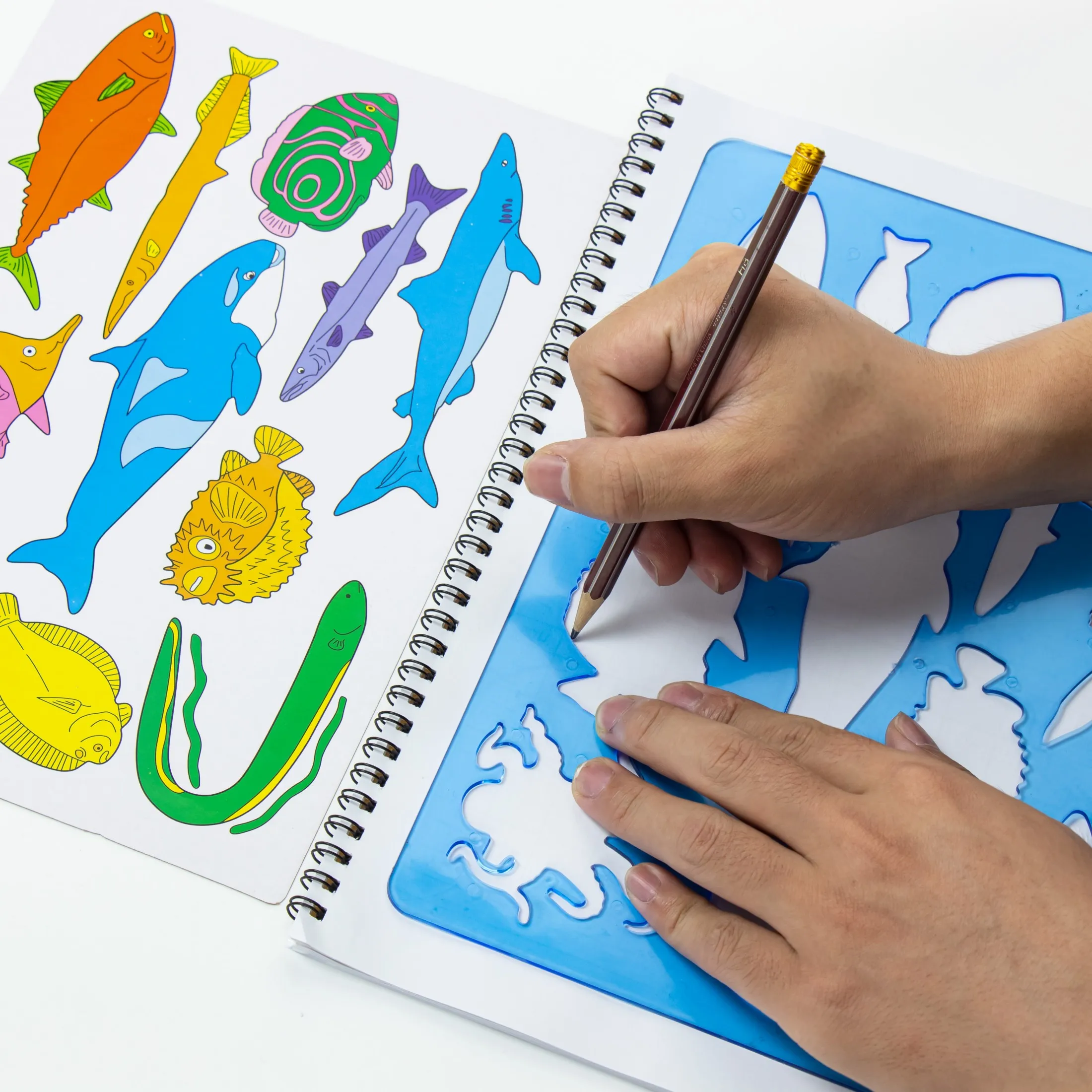 해양 동물 그림 스텐실, 어린이 DIY 아트 스크랩북  - Art Craft Template 리뷰 및 가격