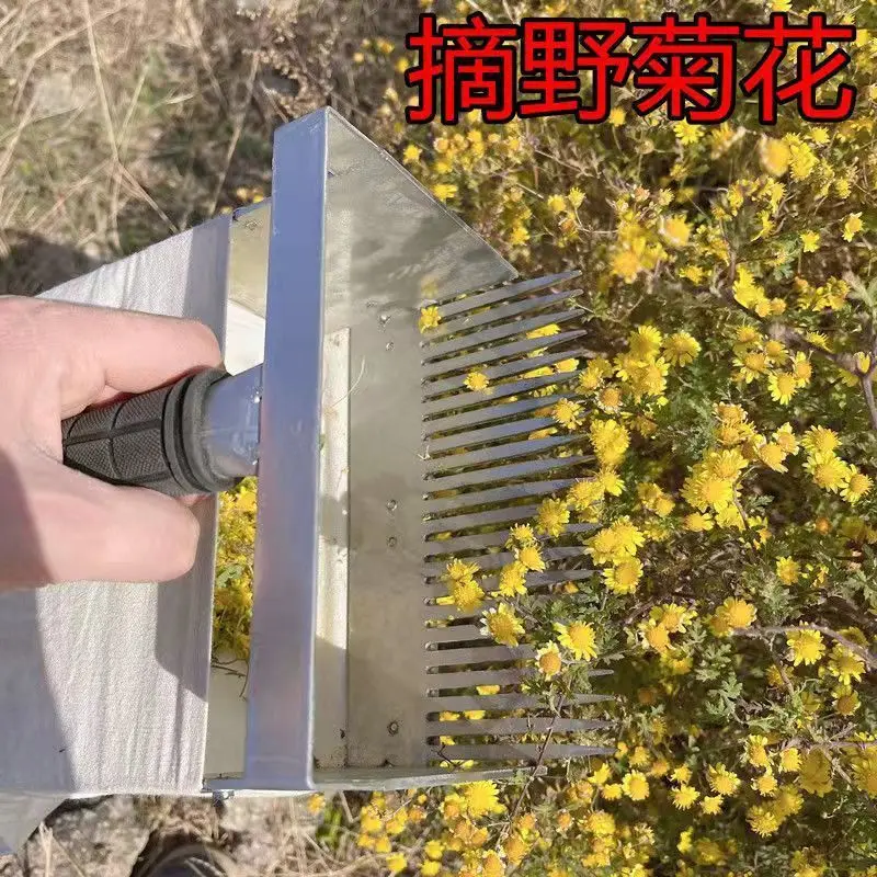 Flower picker Chrysanthemum Chrysanthemum tool picker Flower picker Flower