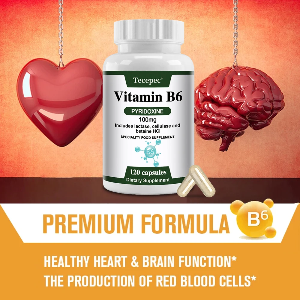 Vitamin B6, 100 Mg, with Lactase, Cellulase, and Betaine for Mental and Physical Energy, Brain Health, Heart Health, Vegetarian