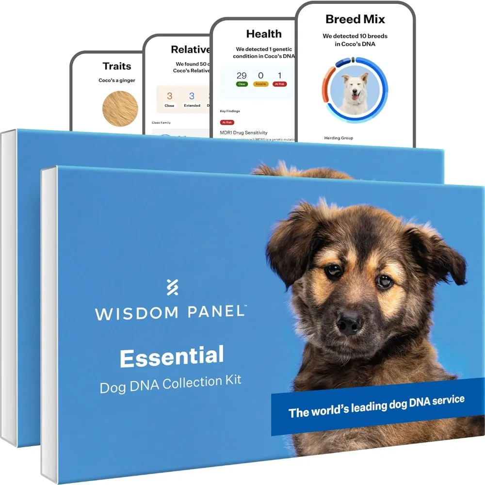 Panel Essential Dog DNA Kit Most Accurate Test for 365+ Breeds 30 Genetic Health Conditions 50+ Traits Relatives Ancestry 2 Pack