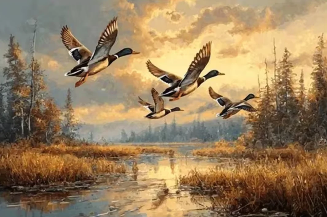 500/1000pcs for Adults Jigsaw Puzzle Autumn Wetland Wild Duck Challenging Large-Scale Brain Teaser with Complex Patterns