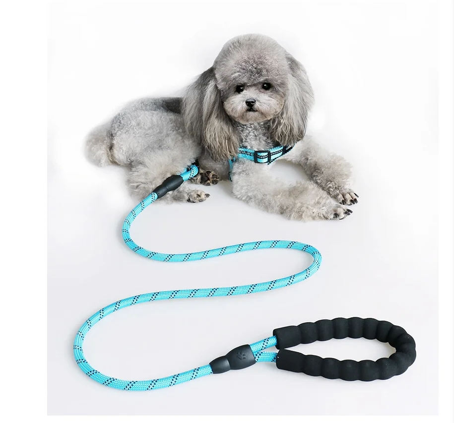 

New explosion-proof charging pet leash Multicolor Round Rope For Big Small Medium Large Dogs Drag Pull Tow Leash Dog Accessories