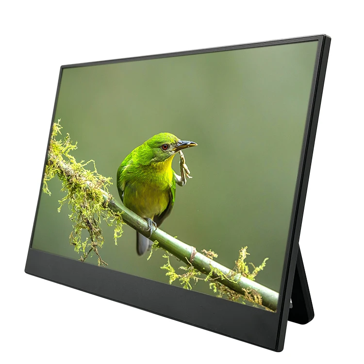 NEW 15.6 Inch Portable Monitor for Laptop/Notebook Full HD 1080P with IPS Panel and Type C Interface Universal