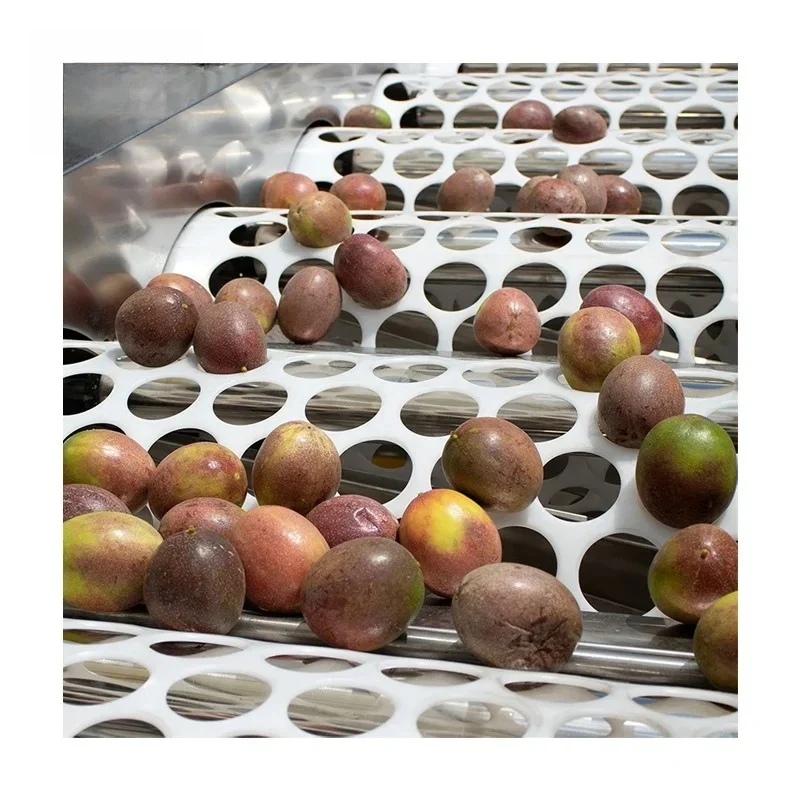 Widely Used Olive Fruit Sorting Machine Coffee Cherries Sorter Cherry Grading Grader
