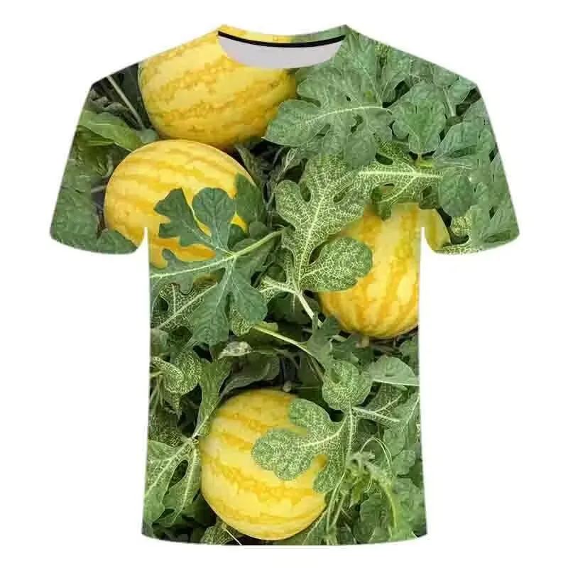 Summer Watermelon 3d Printed Hip Hop Men Personality Short Sleeve Fashion Alternative Funny O Collar Large Size Handsome Shirt