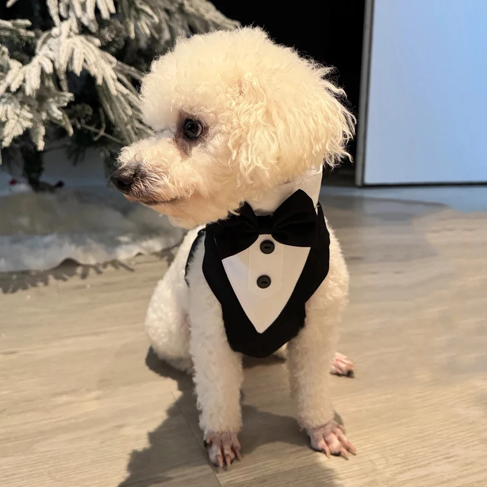 Hochzeits-Hundegeschirr im Smoking-Stil mit Fliege, verstellbare, atmungsaktive Weste mit D-Ring, kein Ziehen, für kleine und mittelgroße Hunde – Detail 13