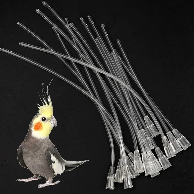 

10pcs Pet Feeder Small Animal Cat Dog Pigeon Parrot Birds Feeding Water Needle Tube Liquid Injection Hose Plastic Supplies