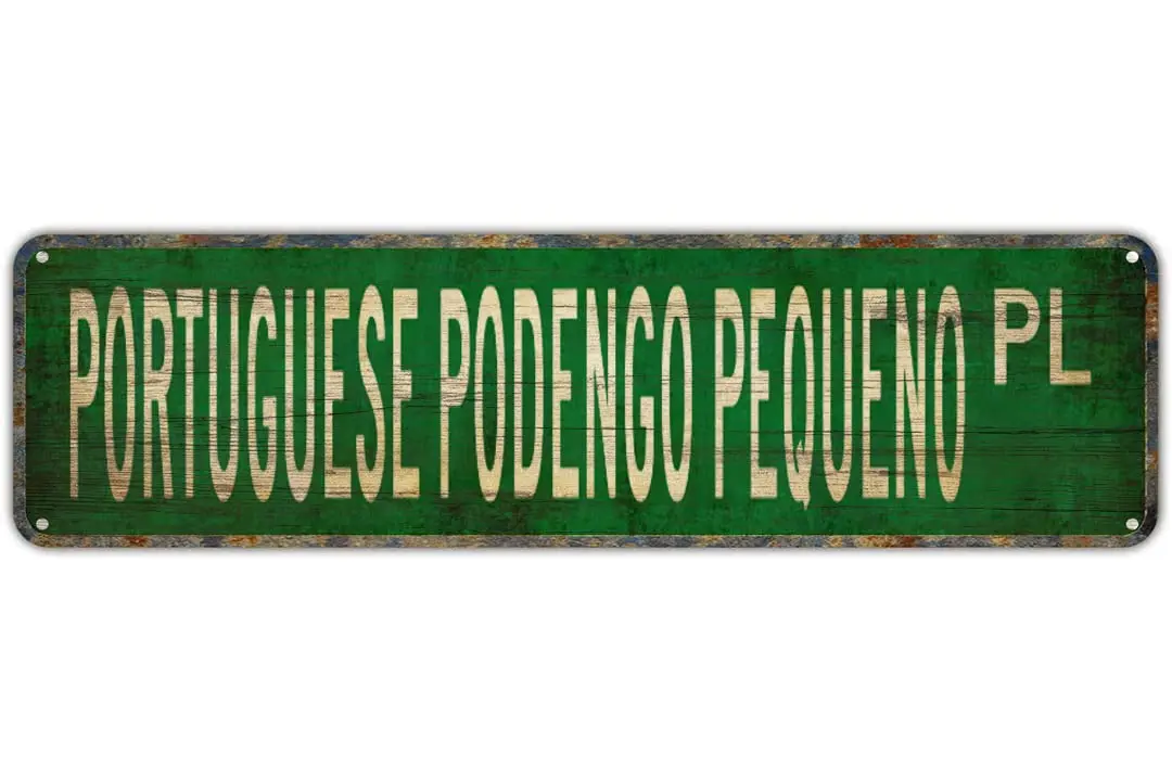 

Street sign Portuguese Podengo Pequeno Portuguese Podengo Pequeno Sign Backyard Bar Wall Decor Rustic Living Tin Sign Wall Decor