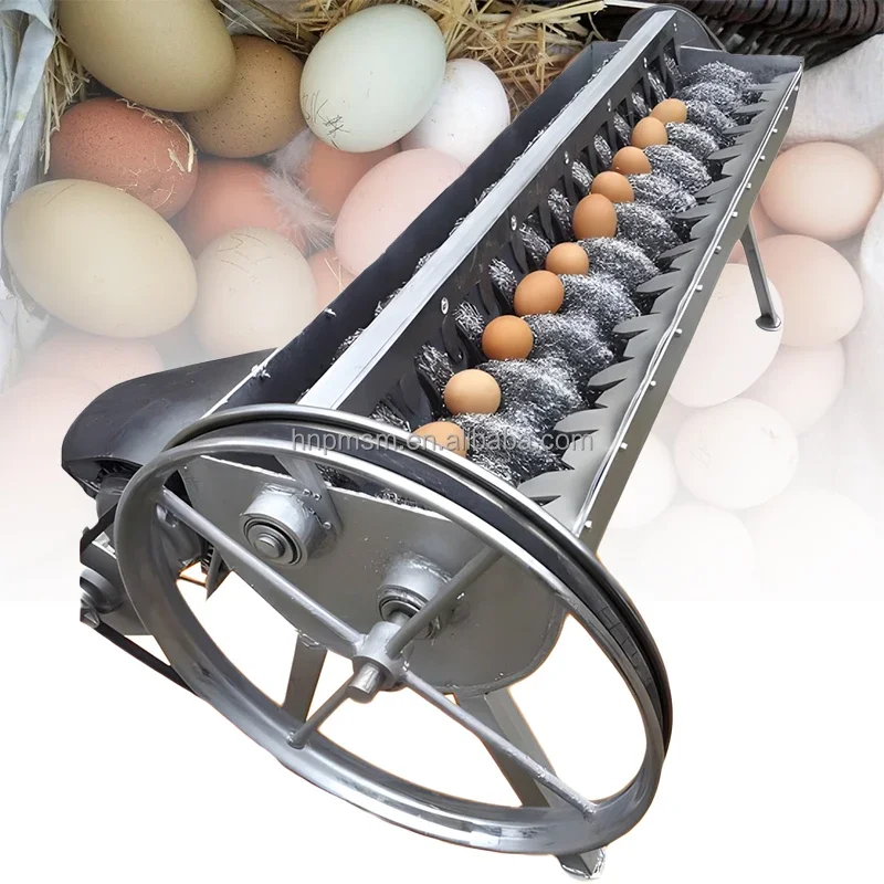 Professional-Grade Stainless Steel Fully Automatic Egg Cleaning and Polishing Machine for Processed Egg Products