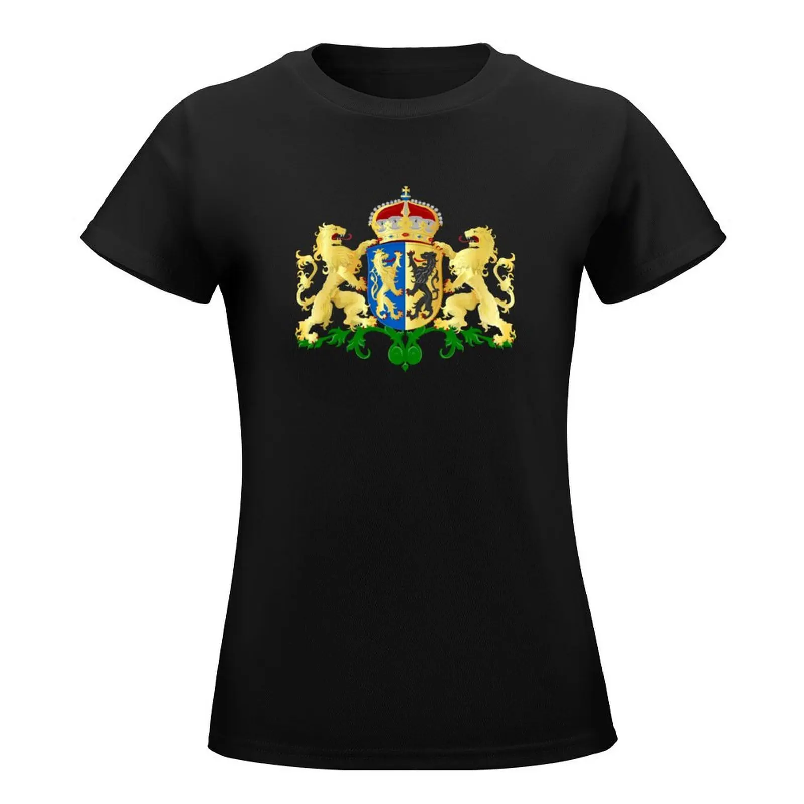 Gelderland coat of arms, Netherlands T-Shirt blanks kawaii clothes aesthetic clothes fashion woman blouse 2024