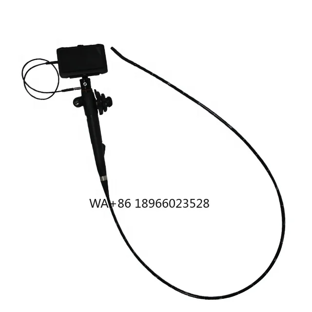 

Multifunctional Portable Video Gastroscope Veterinary Gastroscope MSLVF02