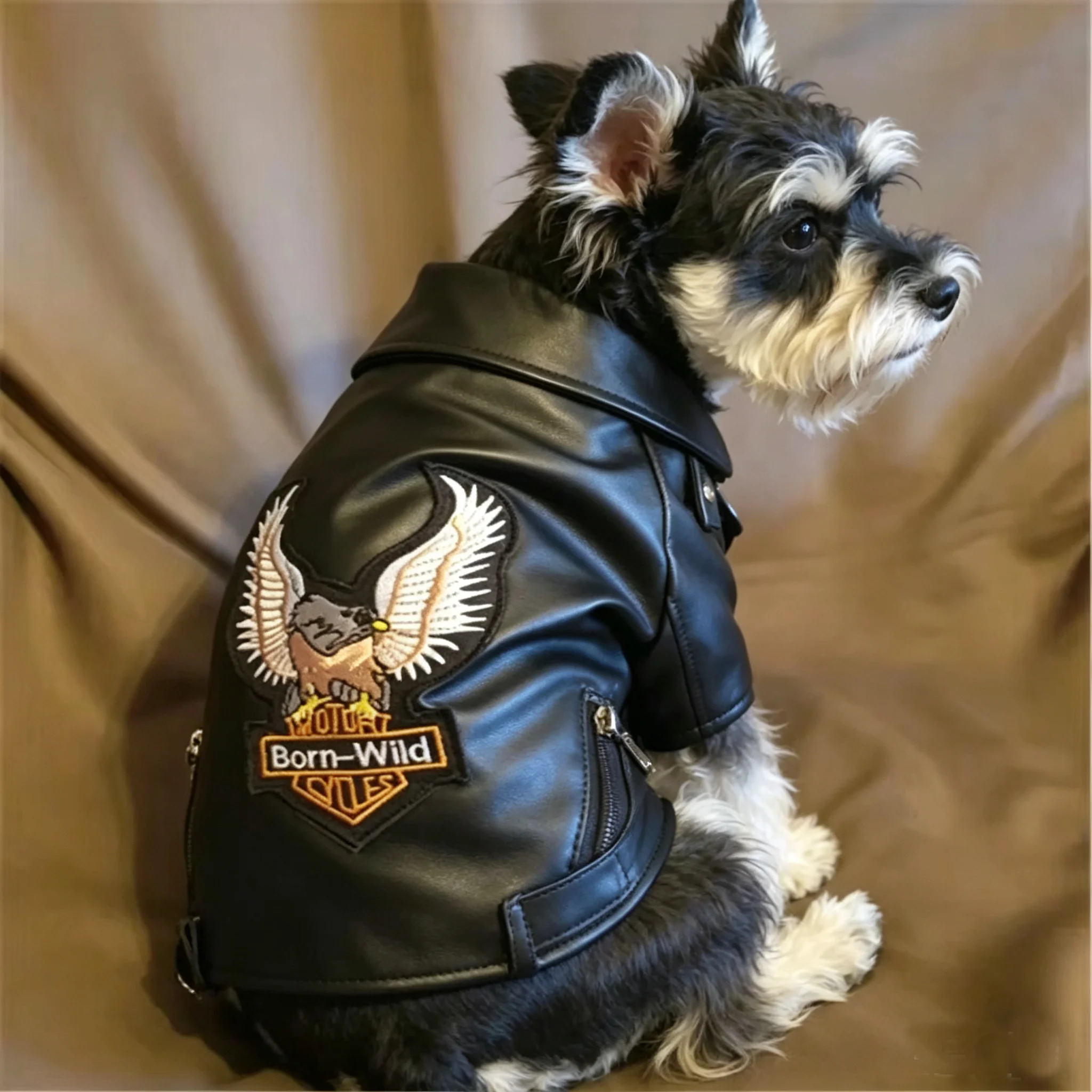 #1 New Waterproof Puppy Jackets Arrivals