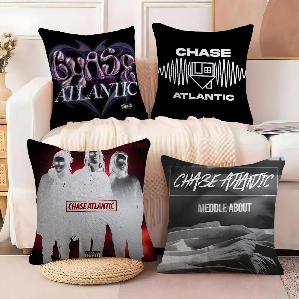 Chase Atlantic Cushion Cover  Plush Fabric Soft Double Sided Print Sofa Cushion Cover Throw Pillow Covers