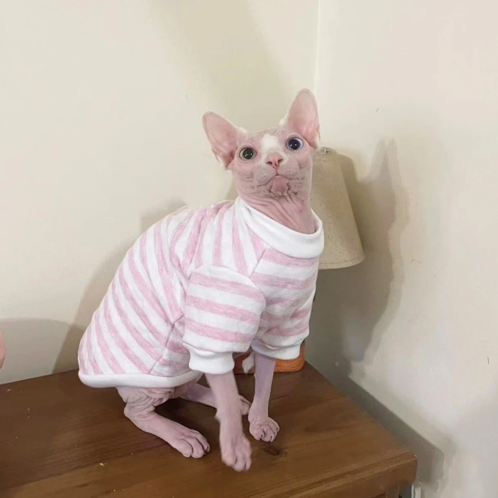 Sphynx Ropa para Cat Sweatershirt Cat Clothes Filament Cotton Coat para Devon Rex Soft Cartoon Long Sleeves Shirt para Pet