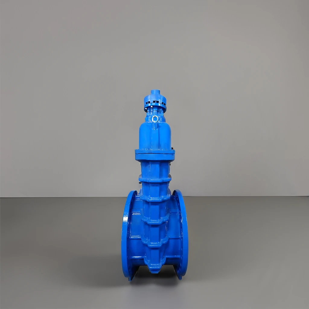 Electric Manual Bevel Gear Operated Iron Resilient Seat Flange Gate Valve For Water Media