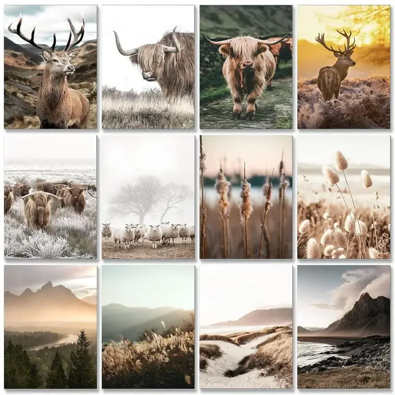 Oil Paint by numbers Kill time Drawing by numbers Scenery Paint for painting For adults Living room decoration