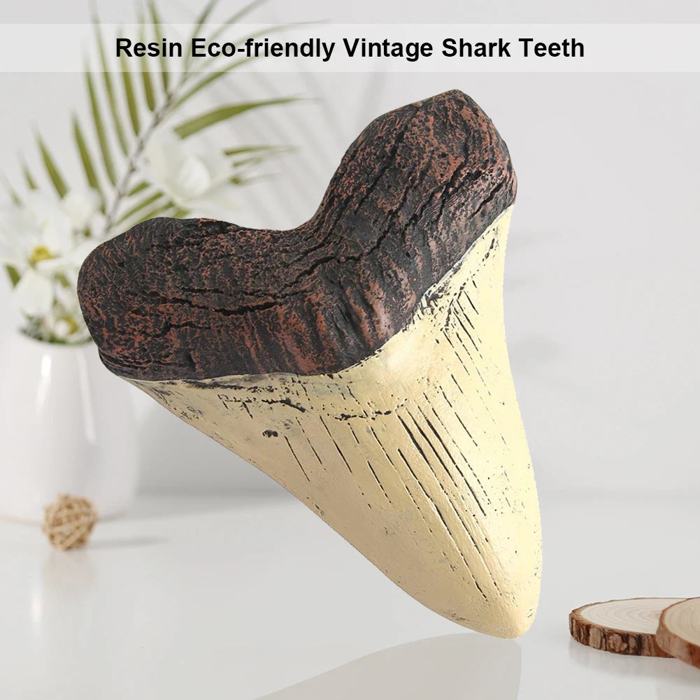 5inch Shark Teeth Model Home Decoration Shark Tooth Replica Marine Bology Teaching Props Beige Shark Teeth Fossil Best Gifts